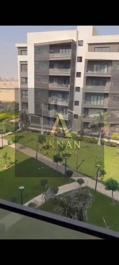 3 Bedroom Flat for Rent in Madinaty, Cairo - WhatsApp Image 2025-11-06 at 14.48. 49. jpeg