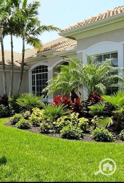 4 573930906_2262090230960927_8459215038617166048_n. jpg