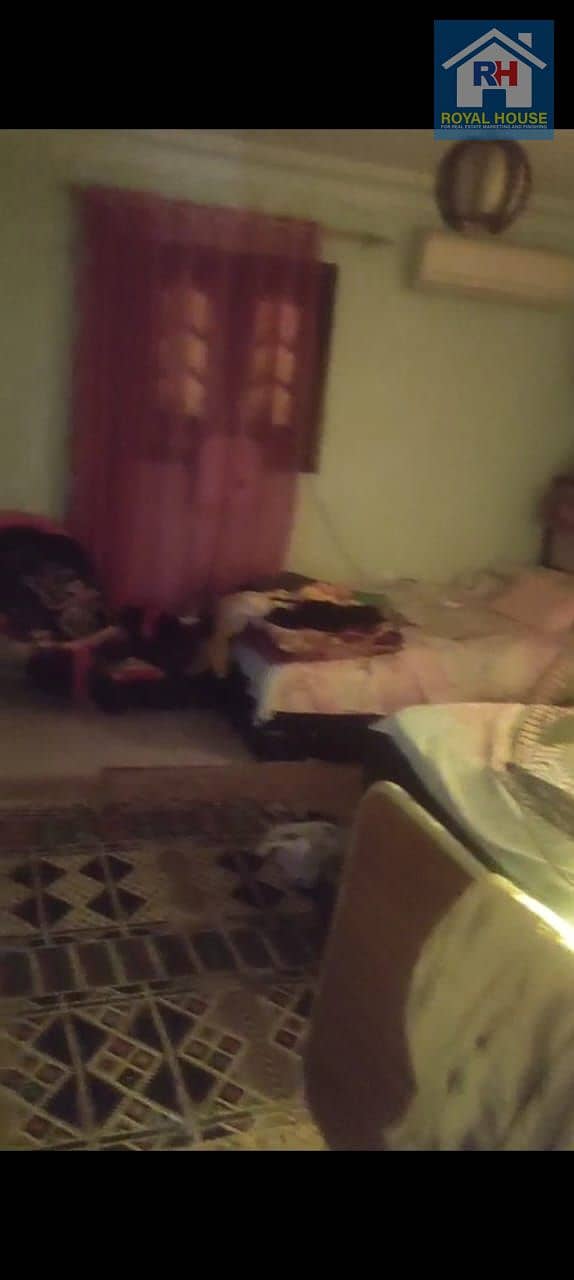 3 24f9b741-2922-4499-9e53-40fac5067144. jpeg