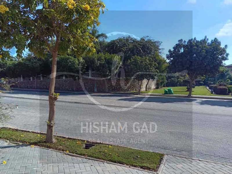 4 531c0924-374b-4299-ba92-2a881320a5c6. jpg