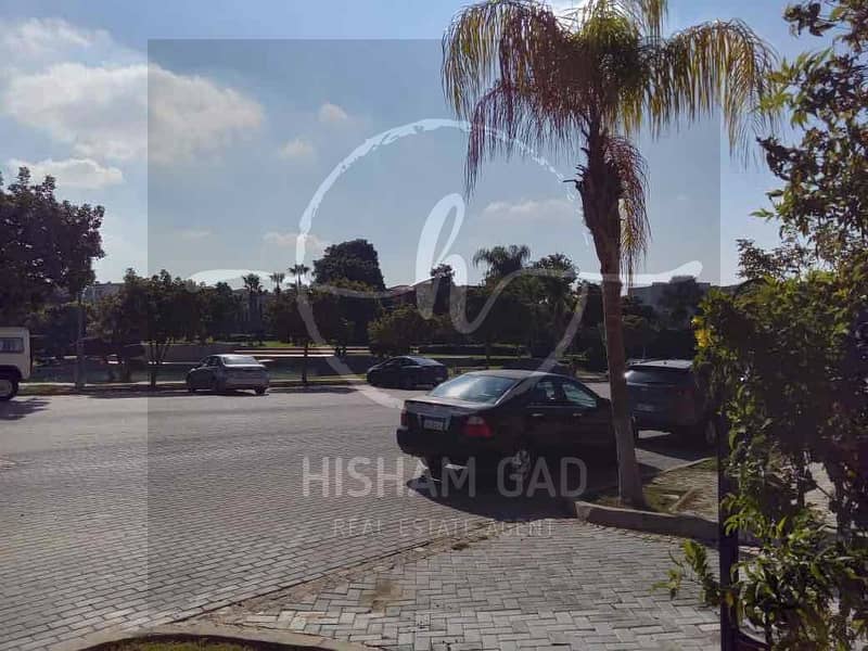 13 2d598251-50a7-4b90-9987-40734c5b0dd3. jpg