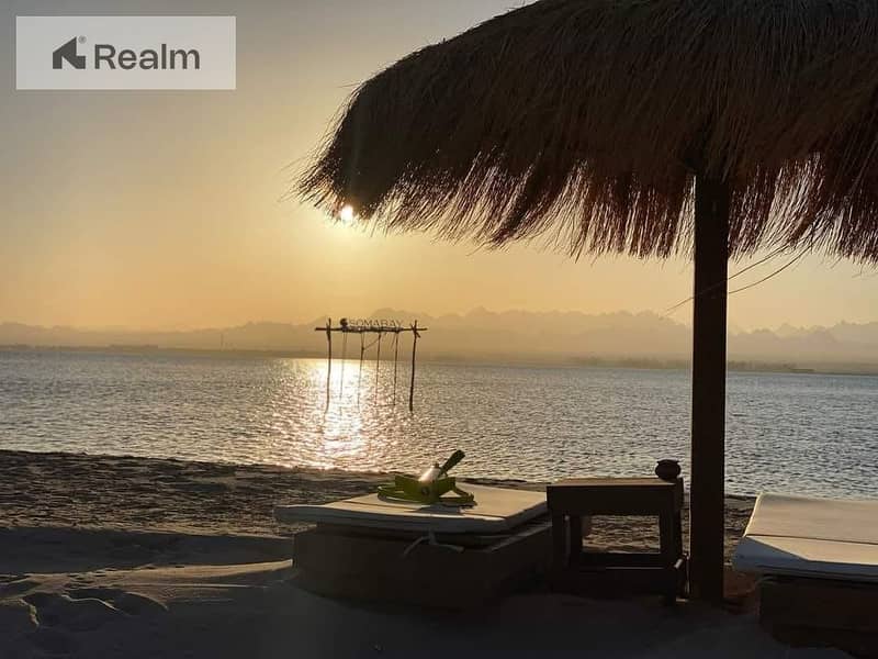 11 ffee1b2a-75a9-41fd-878a-a2410f58499d. jpg