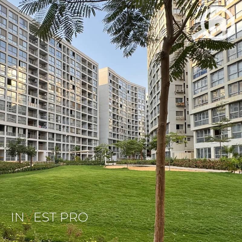 13 وان قطاميه                                            1. jpg