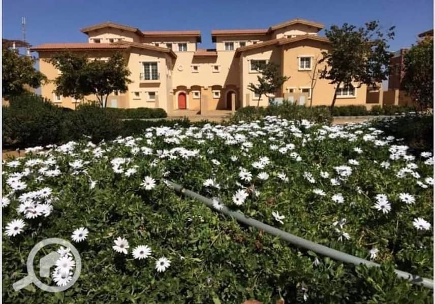 7 2d486575-23b2-4ce8-8050-78107ea43bae. jpg