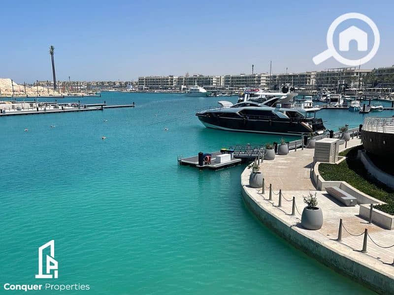 7 Untitled design - 2023-07-26T150559.910 (2). png