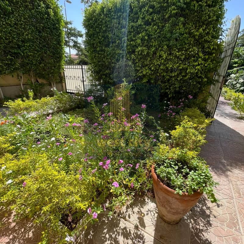 12 IMG-20251009-WA0011(1). jpg