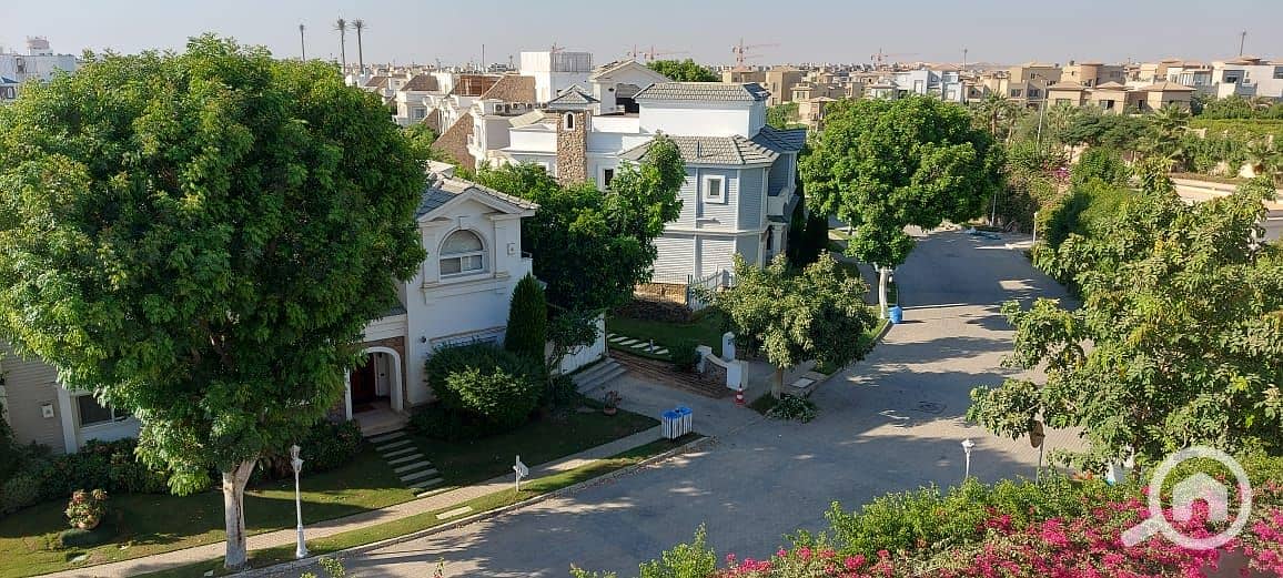 4 395b5551-a8b3-4319-9f20-ca6a44a3ca02. jpg