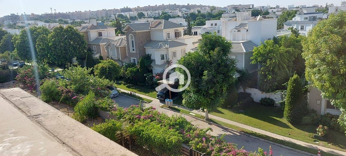 5 c38de5e9-4d5c-4817-8526-f4122dda781b. jpg