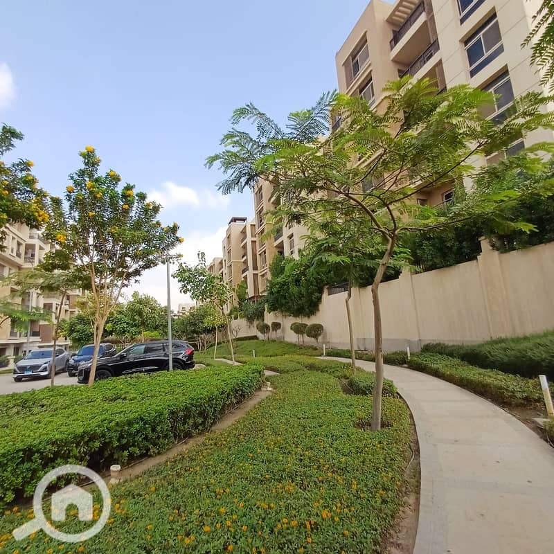 4 7b955f24-d31f-43b8-a209-a3112174954a. jpg