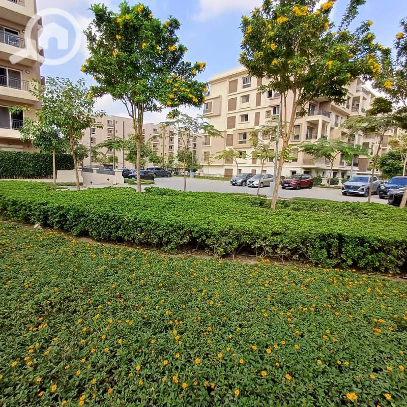 6 68d4216e-d426-400a-98af-845515a7d55e. jpg