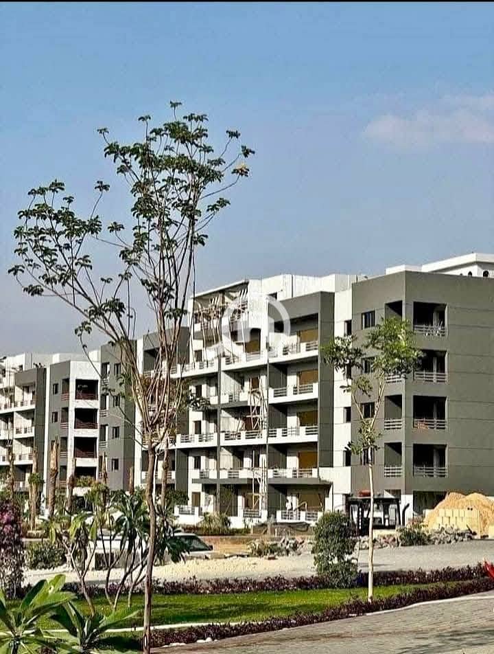 6 491989876_1738795820398583_764103319095689187_n. jpg