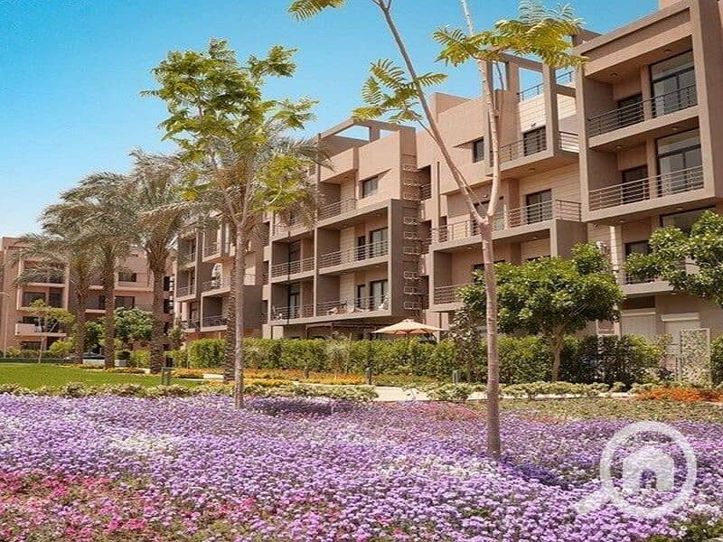 9 337296791_1581881702312078_4208040506137068789_n. jpg