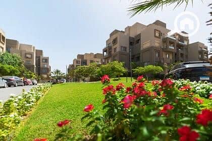 16 WhatsApp Image 2025-11-09 at 12.26. 37 PM. jpeg