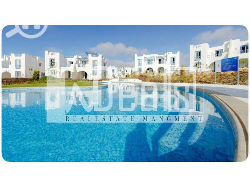 7 MOUNTAIN-VIEW. jpg