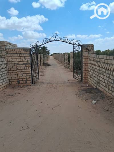 زراعي  للبيع في وادي النطرون، البحيرة - WhatsApp Image 2025-11-09 at 11.50. 54_d76eda7c. jpg