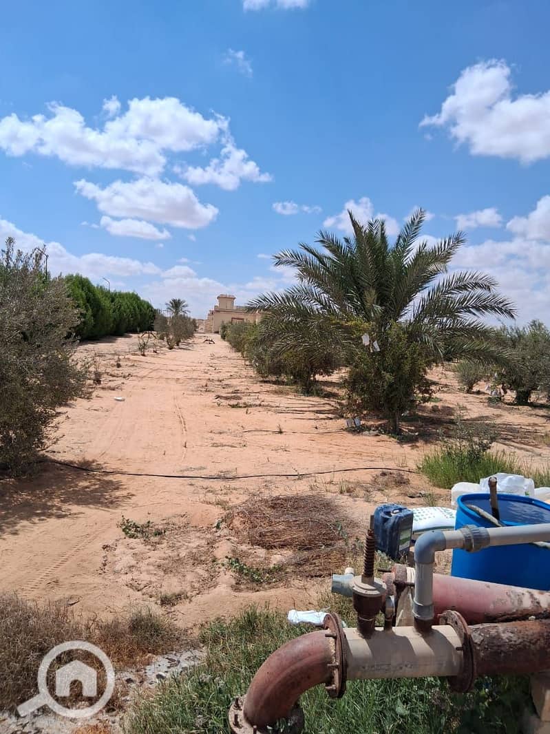 5 WhatsApp Image 2025-11-09 at 11.50. 52_c5d9b50b. jpg