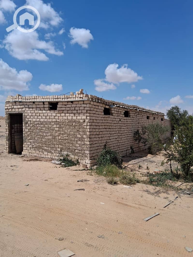 6 WhatsApp Image 2025-11-09 at 11.50. 52_c96941d2. jpg