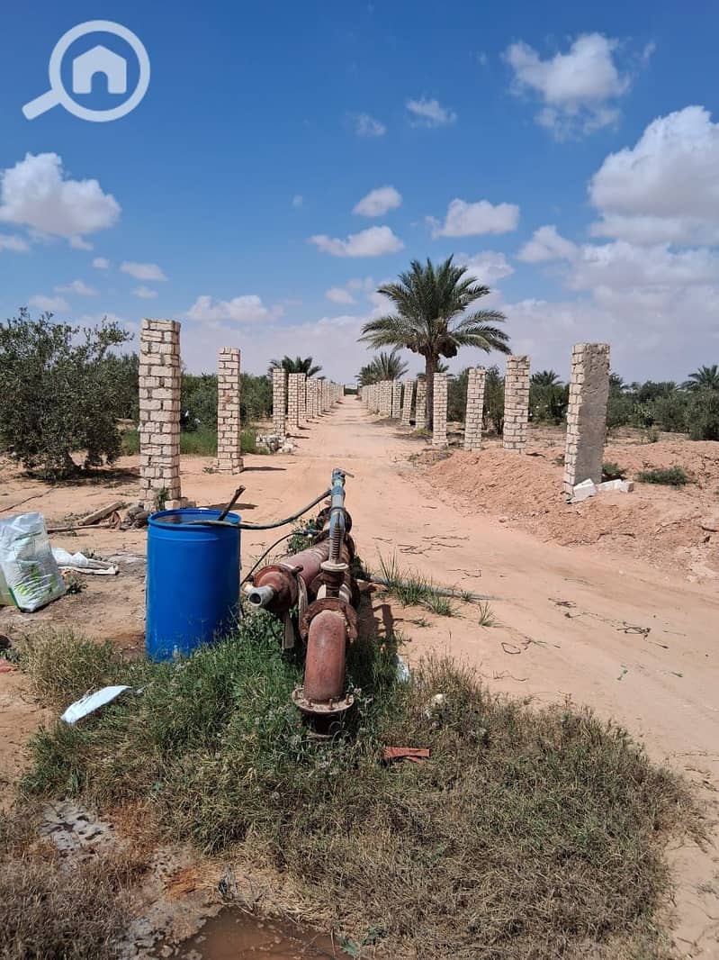 8 WhatsApp Image 2025-11-09 at 11.50. 54_2882e3b6. jpg