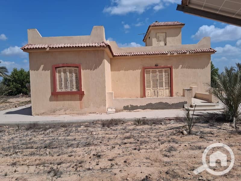 9 WhatsApp Image 2025-11-09 at 11.50. 54_a12a8844. jpg