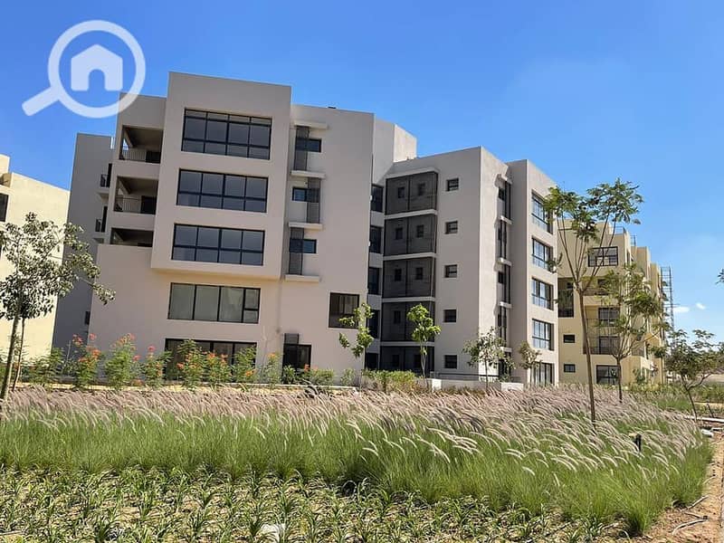 5 467816325_1969315160238553_7567554207190172062_n. jpg