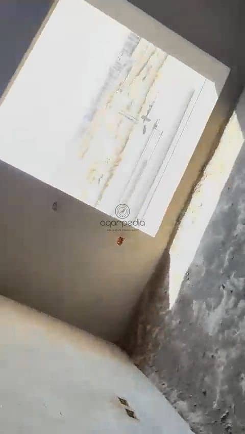 2 WhatsApp Image 2025-10-02 at 2.02. 00 PM (1). jpeg