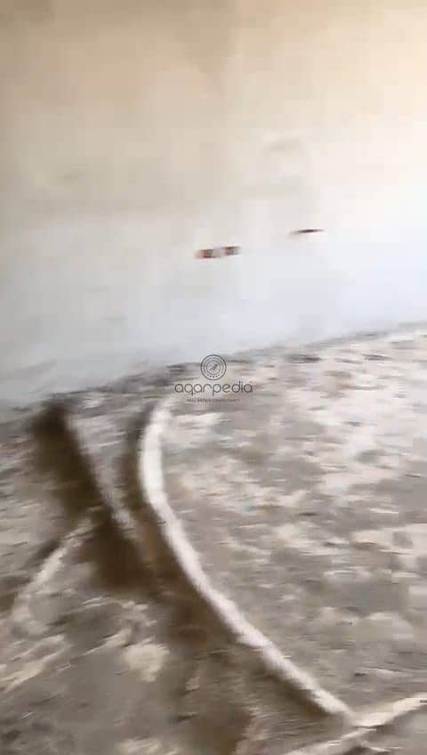 3 WhatsApp Image 2025-10-02 at 2.02. 00 PM. jpeg