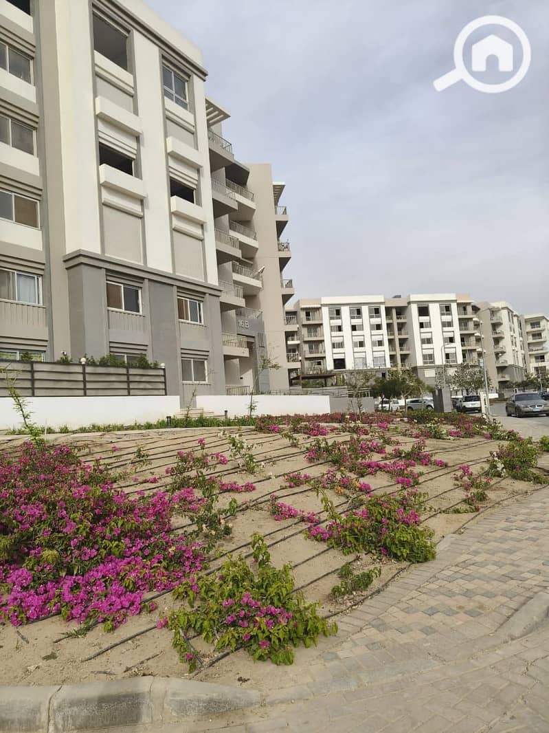 7 WhatsApp Image 2025-09-07 at 13.14. 27_45fa9cc8. jpg