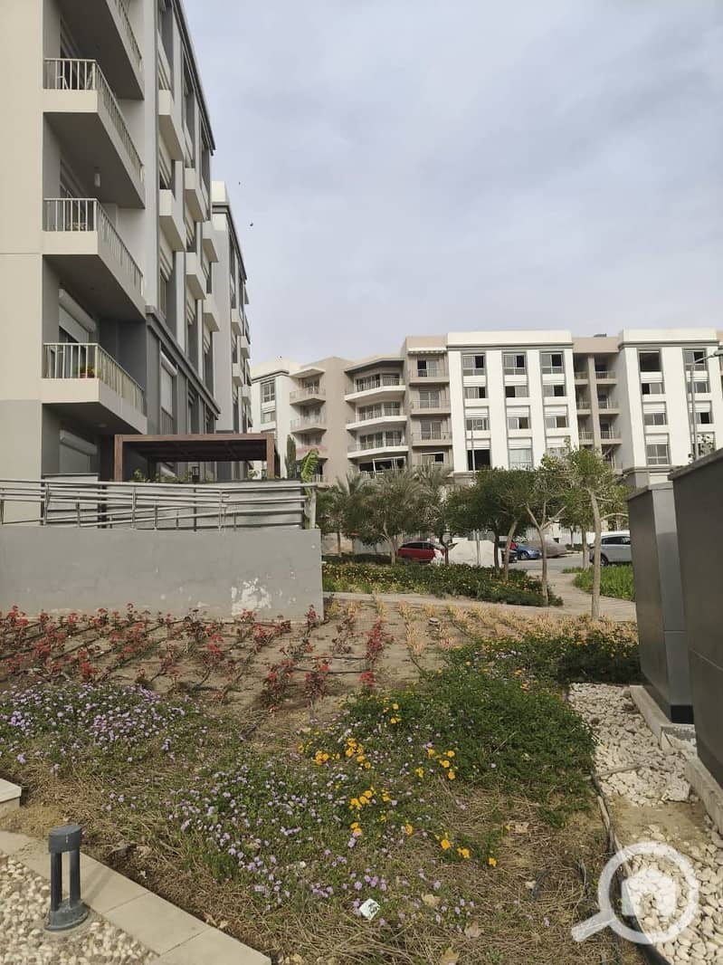 9 WhatsApp Image 2025-09-07 at 13.14. 27_ff2d4b14. jpg