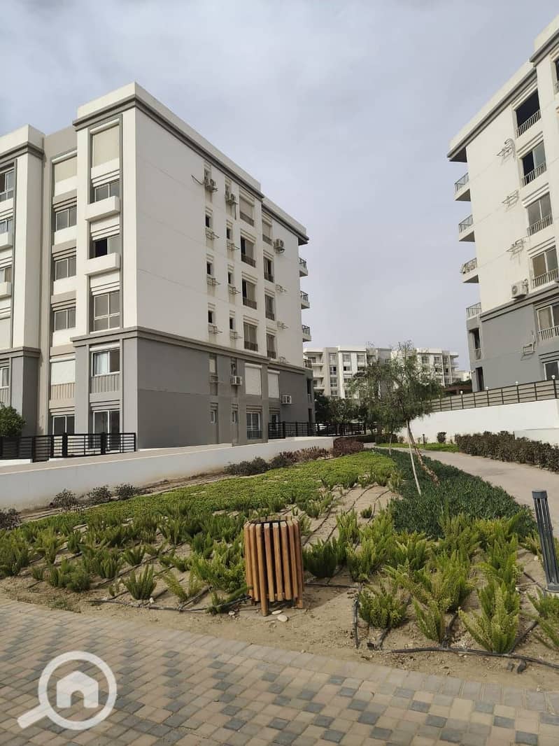 11 WhatsApp Image 2025-09-07 at 13.14. 28_e58c1893. jpg