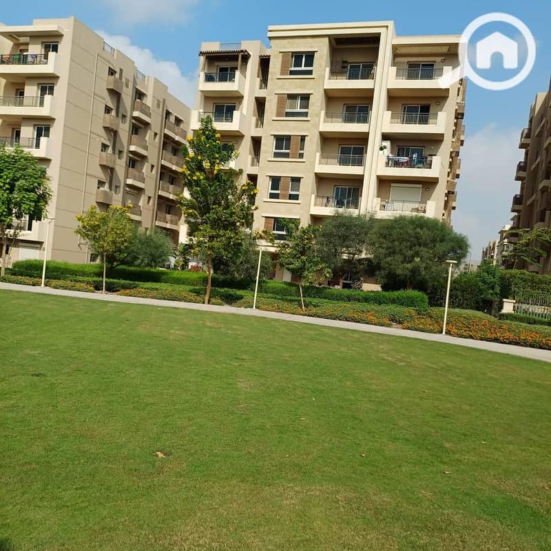 3 dce21ace-6965-4bfa-b2dd-e7e6f32c1cbc. jpg