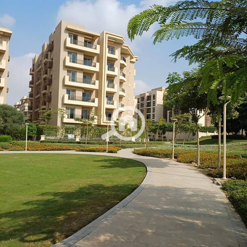 9 ed8387ae-dd98-4022-bd50-d40694d98f06. jpg