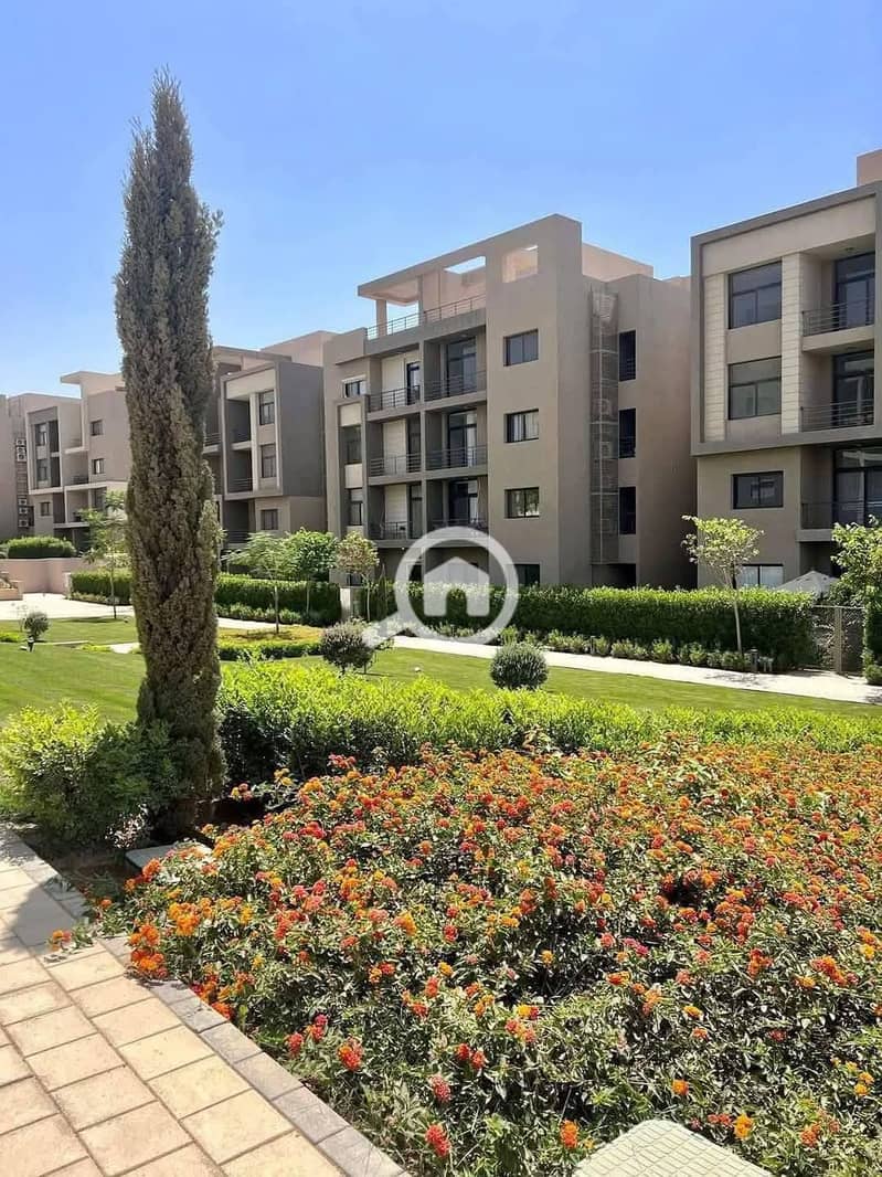 6 526745653_1556280242406965_6611318343253936965_n. jpg