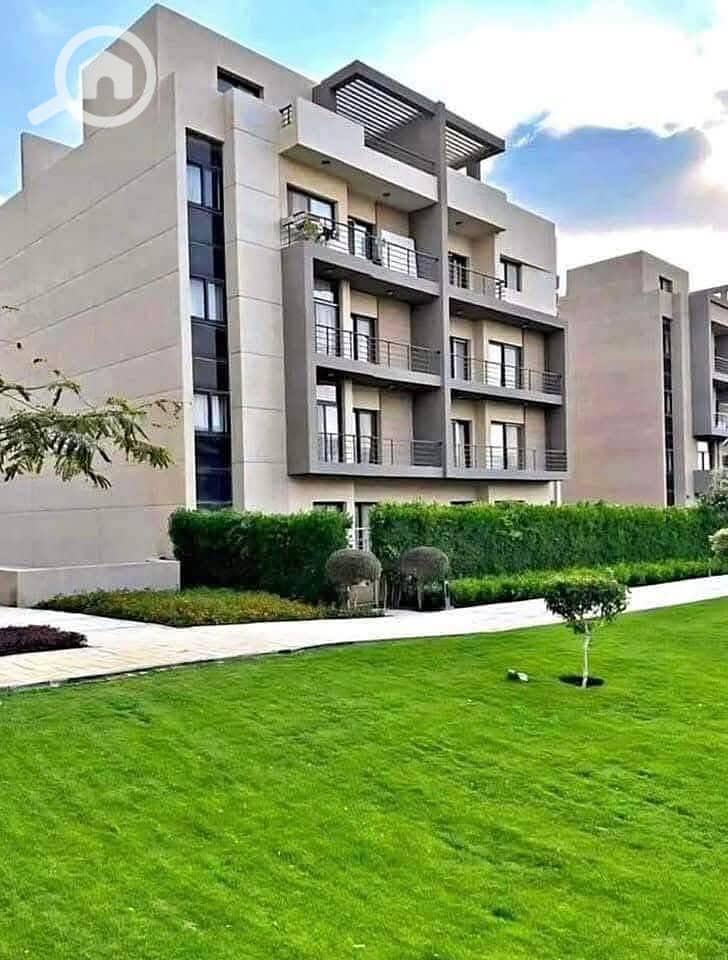 8 529703136_122247748232249099_4149333696530126848_n. jpg