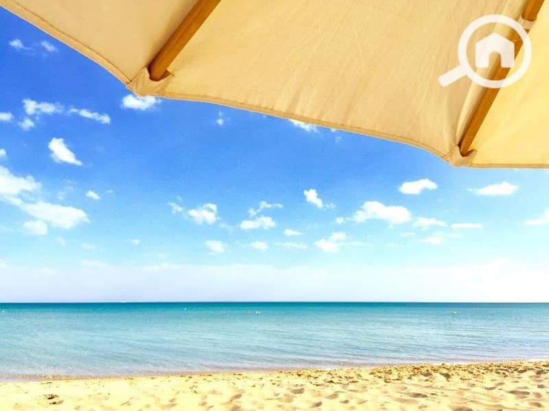 12 84cf9bcc-9bc9-49af-95c9-1ff14f19da0d. jpg