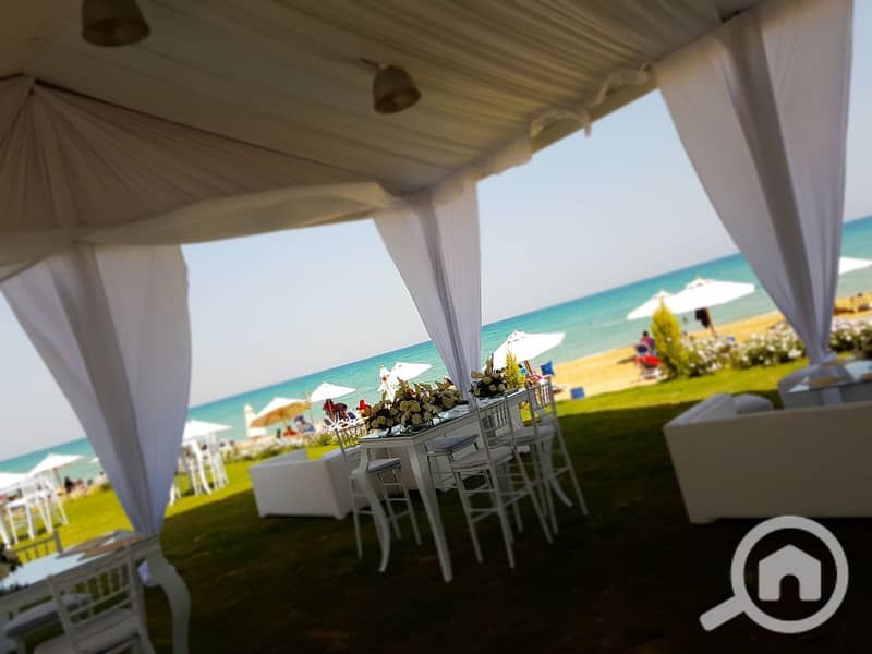 31 ff83dbbf-b31f-4bed-a3fe-08f680e8be16. jpg