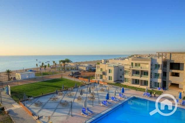 33 thimg_5aaf2bc6-89e9-4fc4-a635-fd0e961cce34_autox420. jpg