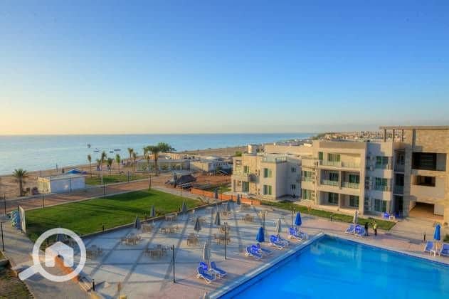 36 thimg_5aaf2bc6-89e9-4fc4-a635-fd0e961cce34_autox420 (1). jpg