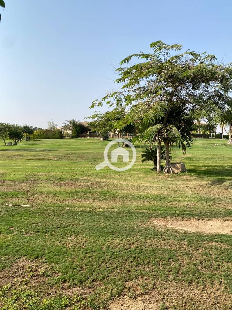 3 WhatsApp Image 2025-11-09 at 12.51. 44_0237fc26. jpg