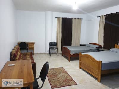 استوديو  للايجار في القاهرة الجديدة، القاهرة - WhatsApp Image 2025-11-09 at 1.23. 08 PM (1). jpeg