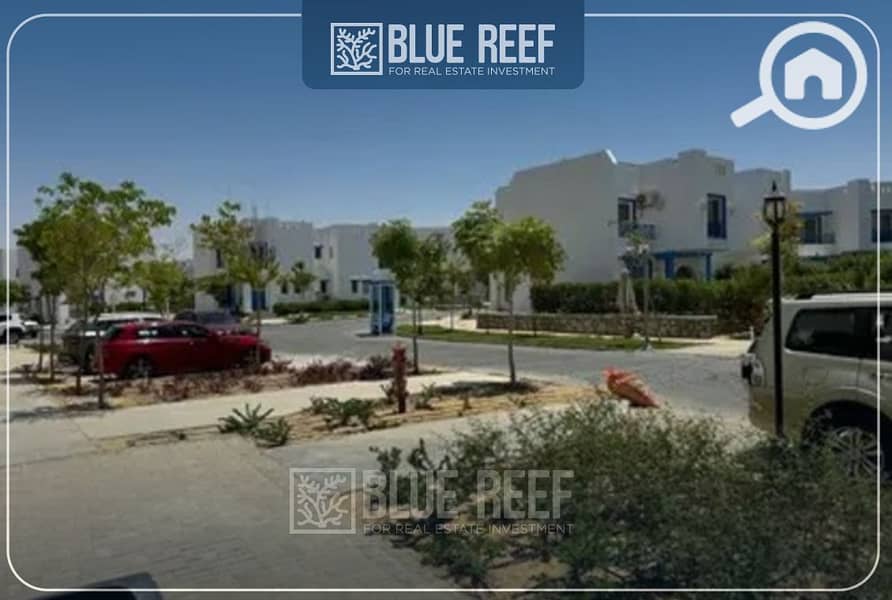 7 ربقلفقالالا. jpg