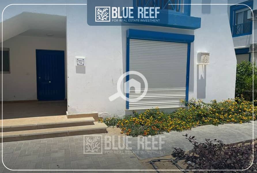 10 رفرفلبر. jpg