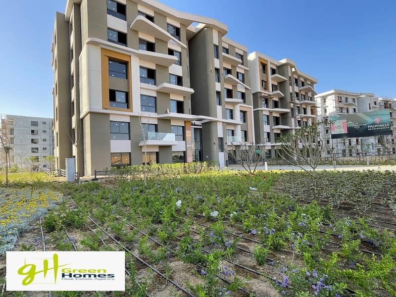 4 WhatsApp Image 2025-08-30 at 2.57. 50 PM (3). jpeg