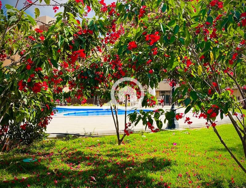 6 WhatsApp Image 2025-10-12 at 2.02. 24 PM (1). jpeg