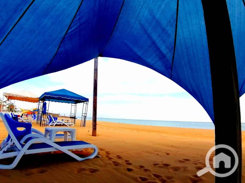 7 40fed427-72ab-4e1e-abe5-edd5923096be. jpg