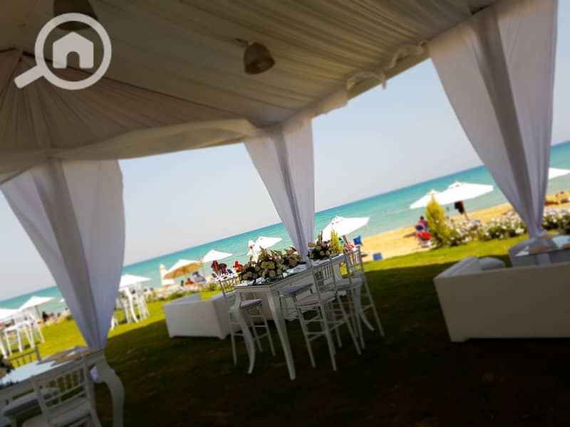 31 ff83dbbf-b31f-4bed-a3fe-08f680e8be16. jpg