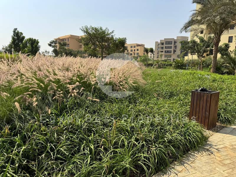 13 124699df-84ac-4385-a9fd-0d5397a1abef. jpeg