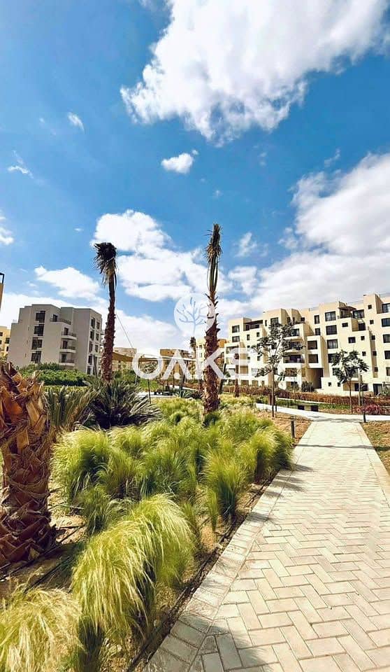 3 499399422_1417747169222301_1110219055866422068_n. jpg