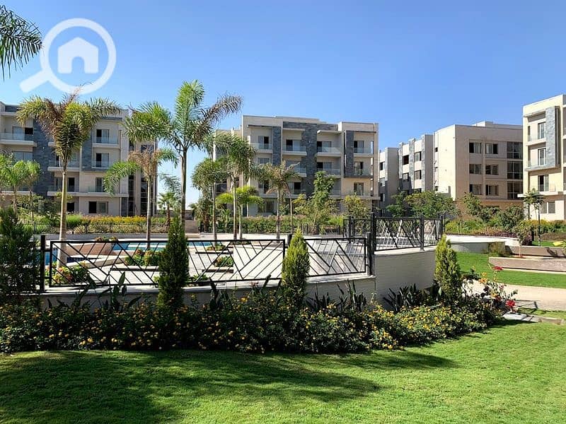 2 2020-02-07 (3). jpg