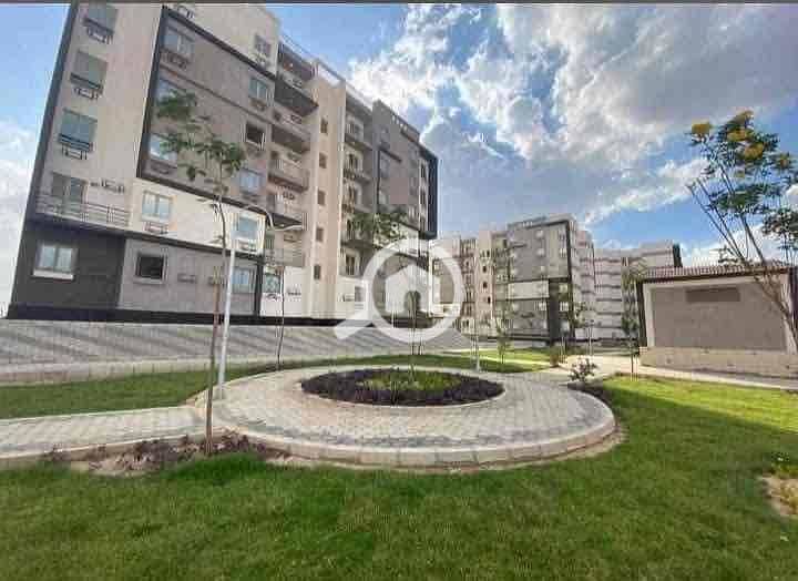 8 2454dff8-61cd-4b32-a4be-32d50cea3402. jpg