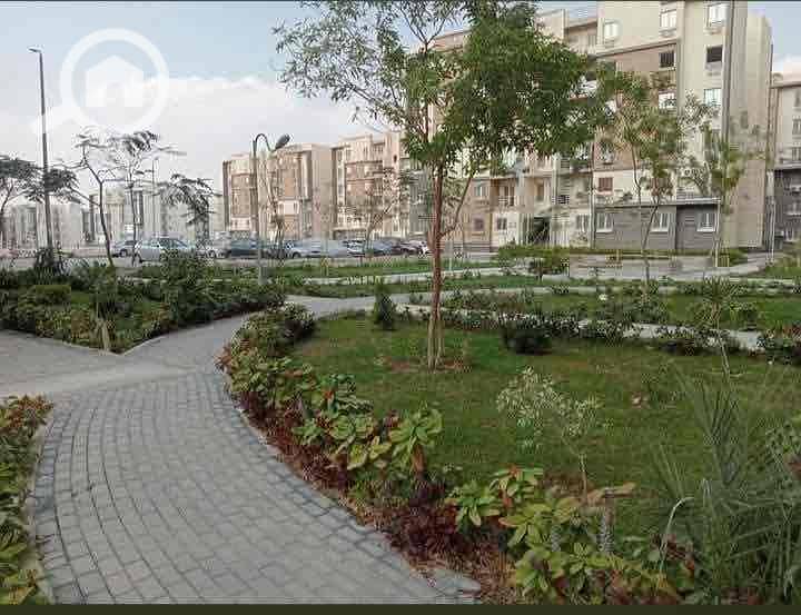 10 134e43ca-768a-46d6-939e-14f851f6d92a. jpg